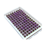 Maxbell Artificial DIY Miniature Flower Cluster Model for Decoration Amaranth