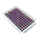 Maxbell Artificial DIY Miniature Flower Cluster Model for Decoration Amaranth