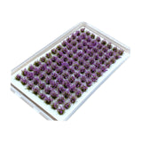 Maxbell Artificial DIY Miniature Flower Cluster Model for Decoration Amaranth