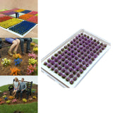 Maxbell Artificial DIY Miniature Flower Cluster Model for Decoration Amaranth