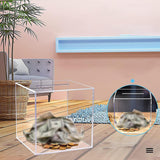 Maxbell Piggy Bank Break to Open Transparent Square Money Saving Box Money Box Container