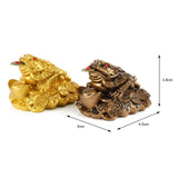 Maxbell Resin Feng Shui Money Frog Wealth Statue Lucky Gifts for Tabletop Decor Aureate