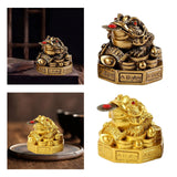 Maxbell Lucky Charm Wealth Frog Resin Lucky money frogs for House Warming Ornaments Aureate