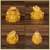 Maxbell Lucky Charm Wealth Frog Resin Lucky money frogs for House Warming Ornaments Aureate