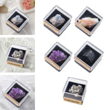 Maxbell Irregular Shape Rough Stone Science Mineral Rock Specimens for Desk Adult Blue