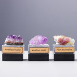 Maxbell Irregular Shape Rough Stone Science Mineral Rock Specimens for Desk Adult Blue