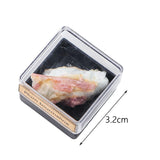 Maxbell Irregular Shape Rough Stone Science Mineral Rock Specimens for Desk Adult Plum Tourmaline