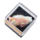 Maxbell Irregular Shape Rough Stone Science Mineral Rock Specimens for Desk Adult Plum Tourmaline
