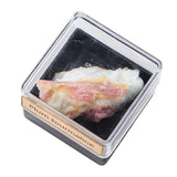 Maxbell Irregular Shape Rough Stone Science Mineral Rock Specimens for Desk Adult Plum Tourmaline