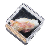 Maxbell Irregular Shape Rough Stone Science Mineral Rock Specimens for Desk Adult Plum Tourmaline