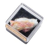Maxbell Irregular Shape Rough Stone Science Mineral Rock Specimens for Desk Adult Plum Tourmaline