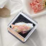Maxbell Irregular Shape Rough Stone Science Mineral Rock Specimens for Desk Adult Plum Tourmaline