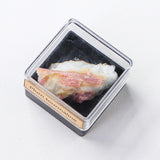 Maxbell Irregular Shape Rough Stone Science Mineral Rock Specimens for Desk Adult Plum Tourmaline
