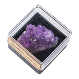 Maxbell Irregular Shape Rough Stone Science Mineral Rock Specimens for Desk Adult Violet