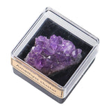 Maxbell Irregular Shape Rough Stone Science Mineral Rock Specimens for Desk Adult Violet
