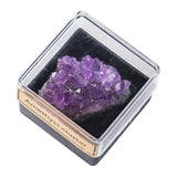 Maxbell Irregular Shape Rough Stone Science Mineral Rock Specimens for Desk Adult Violet