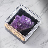 Maxbell Irregular Shape Rough Stone Science Mineral Rock Specimens for Desk Adult Violet