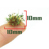 Maxbell 32Pcs Miniature Flower Cluster for DIY Model Sand Layout Model Decoration Green