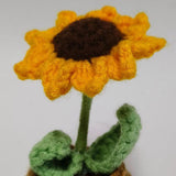 Maxbell Funny Positive Knitting Doll Crochet Ornament for Cafe Living Room Farmhouse Flower