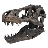 Dinosaur Resin Skull Head Model Creative Skeleton Figurine Home Decor L