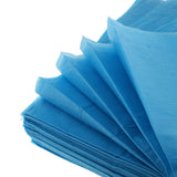 10 Pieces Disposable Beauty Massage Salon Hotel Bed Pads Cover Sheet Blue