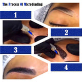 Max Permanent Makeup Eyebrow Tattoo Needle Pen Pencil Practice Skin Kit Blue