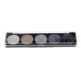 Max 5 Color Glitter Eyeshadow Powder Eye Shadow Cosmetic Palette Shimmer Set #01
