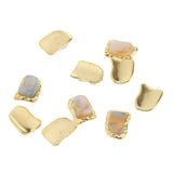 Max 10pcs 3D Nail Art Charms Nail Tips Decorations Shell Jewelry Nail Studs Natural Textured Shell Stone