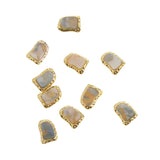 Max 10pcs 3D Nail Art Charms Nail Tips Decorations Shell Jewelry Nail Studs Natural Textured Shell Stone