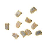 Max 10pcs 3D Nail Art Charms Nail Tips Decorations Shell Jewelry Nail Studs Natural Textured Shell Stone