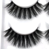 Maxbell 5 Pairs 3D Eyelashes Extension Fibre False Eye Lashes Makeup Long Natural G800 - Aladdin Shoppers