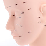 Maxbell Soft Mannequin Training Head with Acupoints Eyelash Makeup Massage Practice