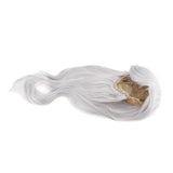 Maxbell Women Wigs Long Straight Cosplay Fashion Colors Wig Heat Safe w/ Bangs Silver Gray
