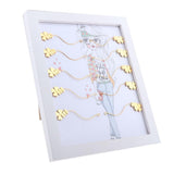 Max Wood Frame False Eyelash Storage Case Lash Extension Organizer Display Stand A Style