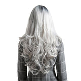 Max Maxb 26 inch Synthetic Long Curly Wigs for Women Cosplay Costume Full Wig Black Gray