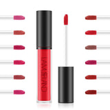 Maxbell Waterproof Longlasting Lip Gloss Nonstick Cup Liquid Velvety Lipstick Chili