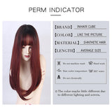 Max 20'' Long Straight Women Synthetic Wigs w/ Bangs Natural Looking Cosplay Wig