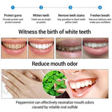 Maxbell Teeth Whitening Essence Serum Stains Remover Oral Care 10ml+10Pc Cotton Swab