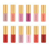 3.5g Natural Moisturizing Velvet Lip Gloss Waterproof Liquid Lipsticks 01
