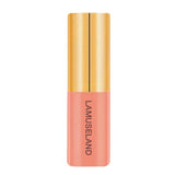 Maxbell 3.5g Natural Moisturizing Velvet Lip Gloss Waterproof Liquid Lipsticks 02