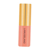 Maxbell 3.5g Natural Moisturizing Velvet Lip Gloss Waterproof Liquid Lipsticks 02