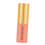 Maxbell 3.5g Natural Moisturizing Velvet Lip Gloss Waterproof Liquid Lipsticks 02