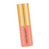 Maxbell 3.5g Natural Moisturizing Velvet Lip Gloss Waterproof Liquid Lipsticks 02