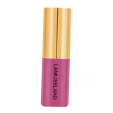 Maxbell 3.5g Natural Moisturizing Velvet Lip Gloss Waterproof Liquid Lipsticks 04