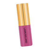 Maxbell 3.5g Natural Moisturizing Velvet Lip Gloss Waterproof Liquid Lipsticks 04