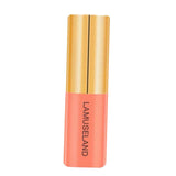 Maxbell 3.5g Natural Moisturizing Velvet Lip Gloss Waterproof Liquid Lipsticks 06