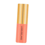 Maxbell 3.5g Natural Moisturizing Velvet Lip Gloss Waterproof Liquid Lipsticks 06