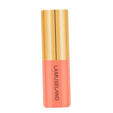 Maxbell 3.5g Natural Moisturizing Velvet Lip Gloss Waterproof Liquid Lipsticks 06