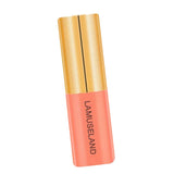 Maxbell 3.5g Natural Moisturizing Velvet Lip Gloss Waterproof Liquid Lipsticks 06