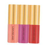 Maxbell 3Pc Velvet Matte Waterproof Lasting Lip Gloss Liquid Lipstick Makeup Tool 04